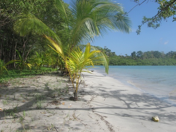 Strand op Isla Colon op Bocas del Toro